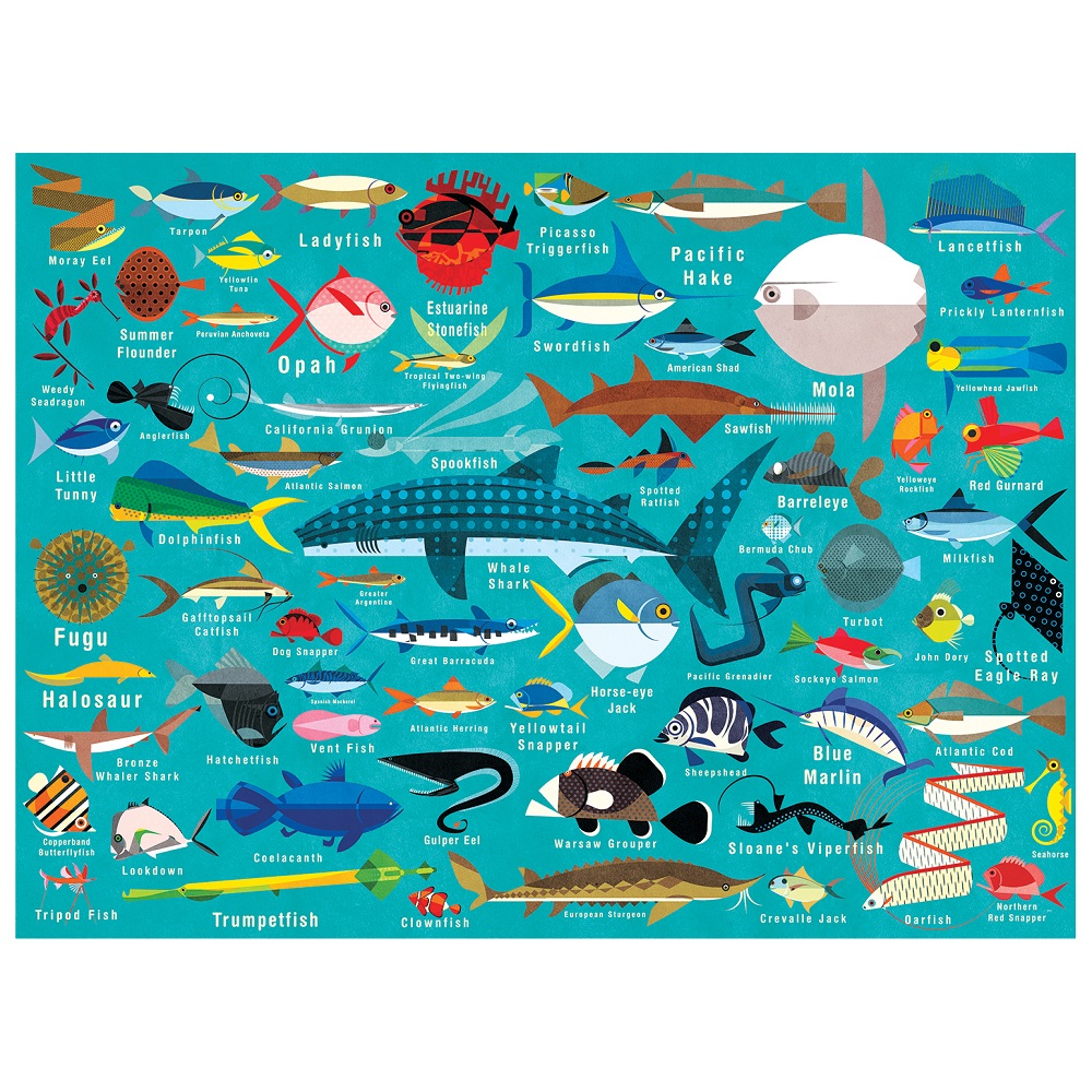 PUZZLE MUDPUPPY 1000PCS VIDA DEL OCEANO - 1