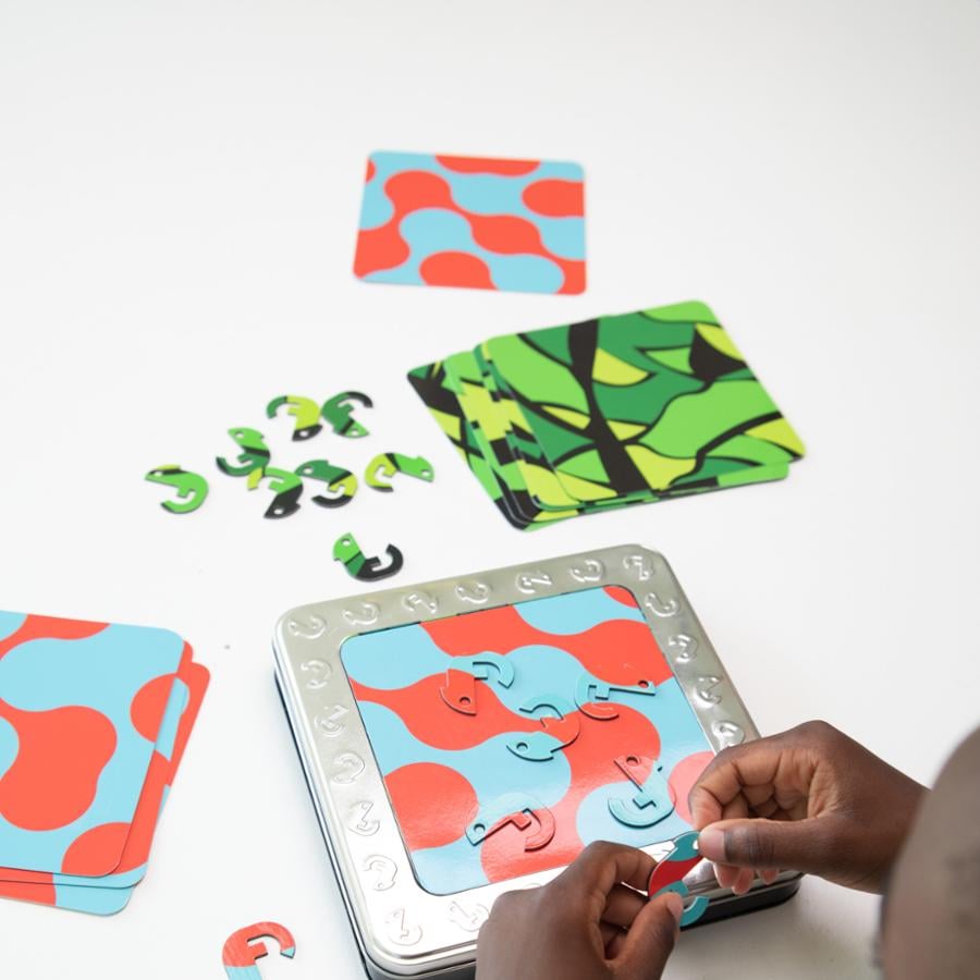 JUEGO FATBRAIN TOYS ONE IN A CHAMELEON DE INGENIO - 3