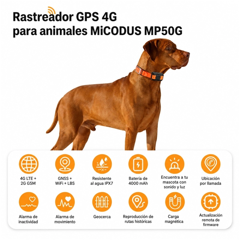 GPS 4G RASTREADOR PARA MASCOTAS MICODUS MP50G 4G 4000 MAH - 4
