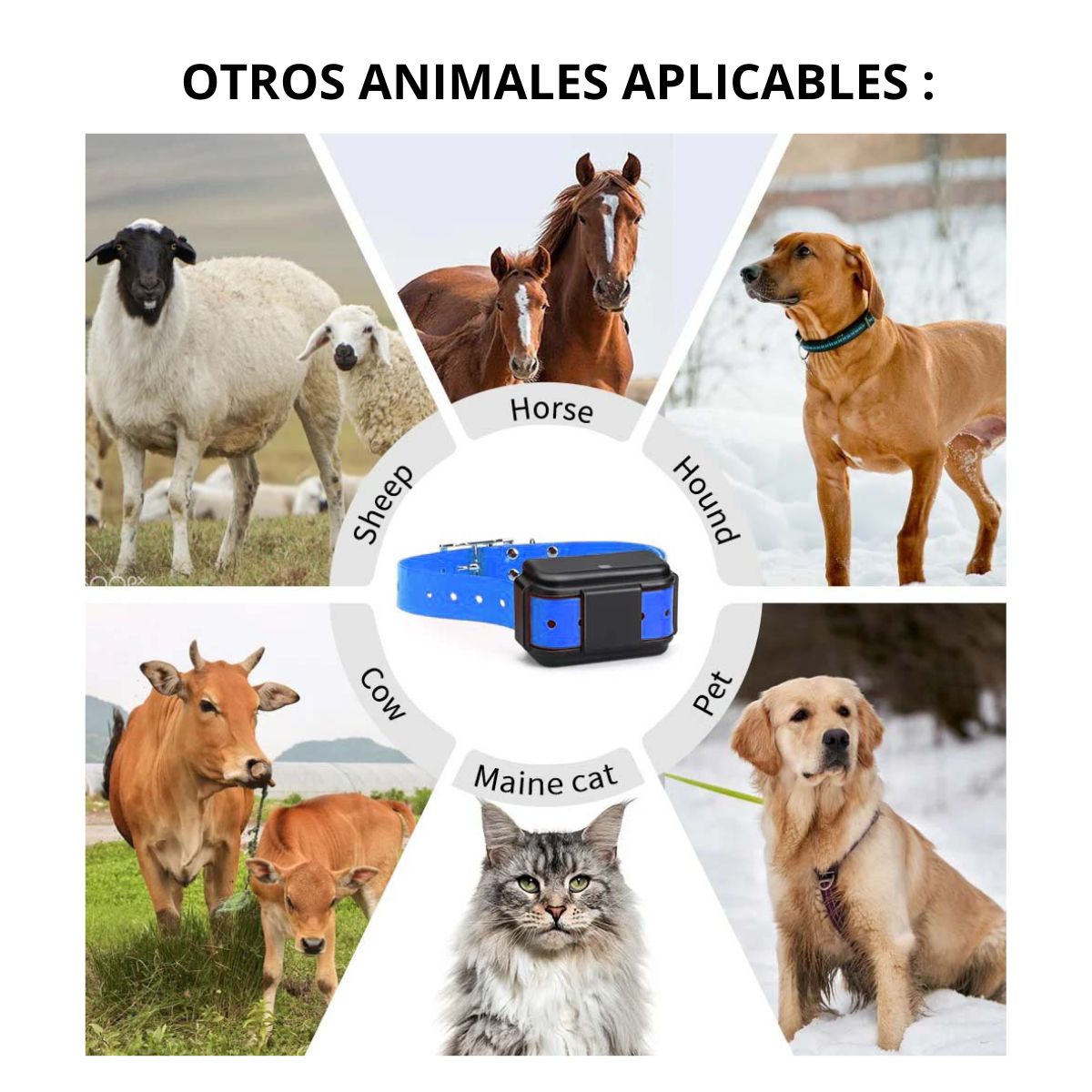 GPS 4G RASTREADOR PARA MASCOTAS MICODUS MP50G 4G 4000 MAH - 5