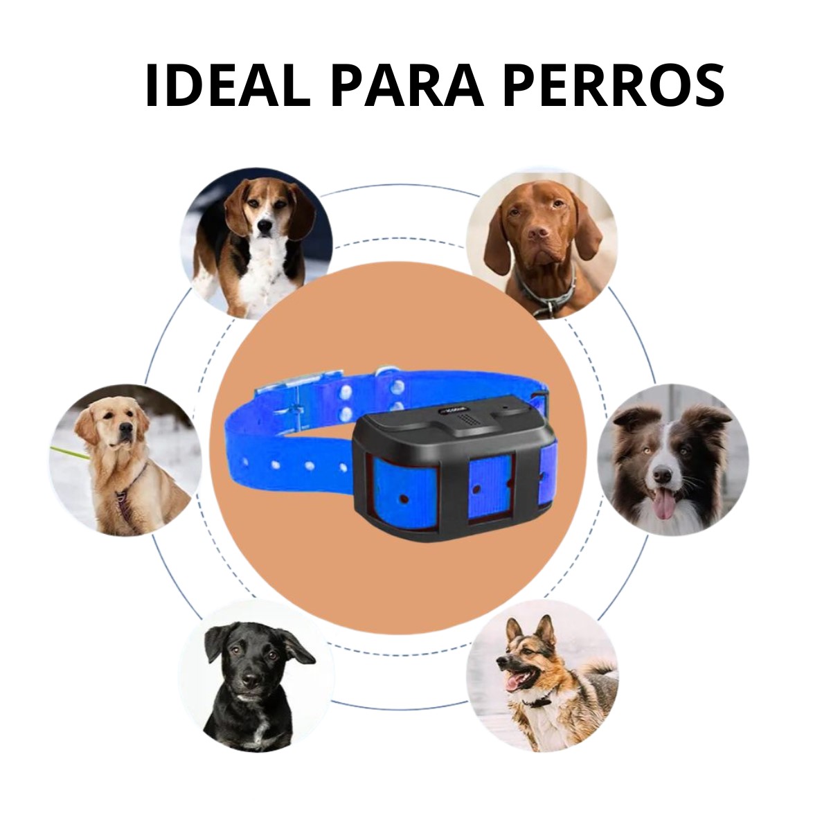 GPS 4G RASTREADOR MICODUS MP50G 4G ANIMAL + CONFIGURACIÓN + SIM - 2