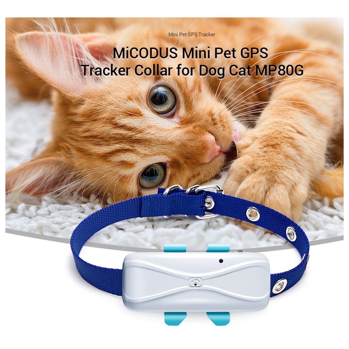 RASTREADOR GPS 4G MICODUS MP80G 4G PET 1500MAH GPS TRACKER - 2