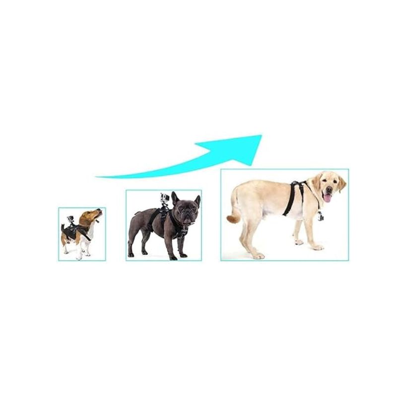 ARNÉS COREA DE PERRO PARA CÁMARAS DEPORTIVAS SJCAM - 6