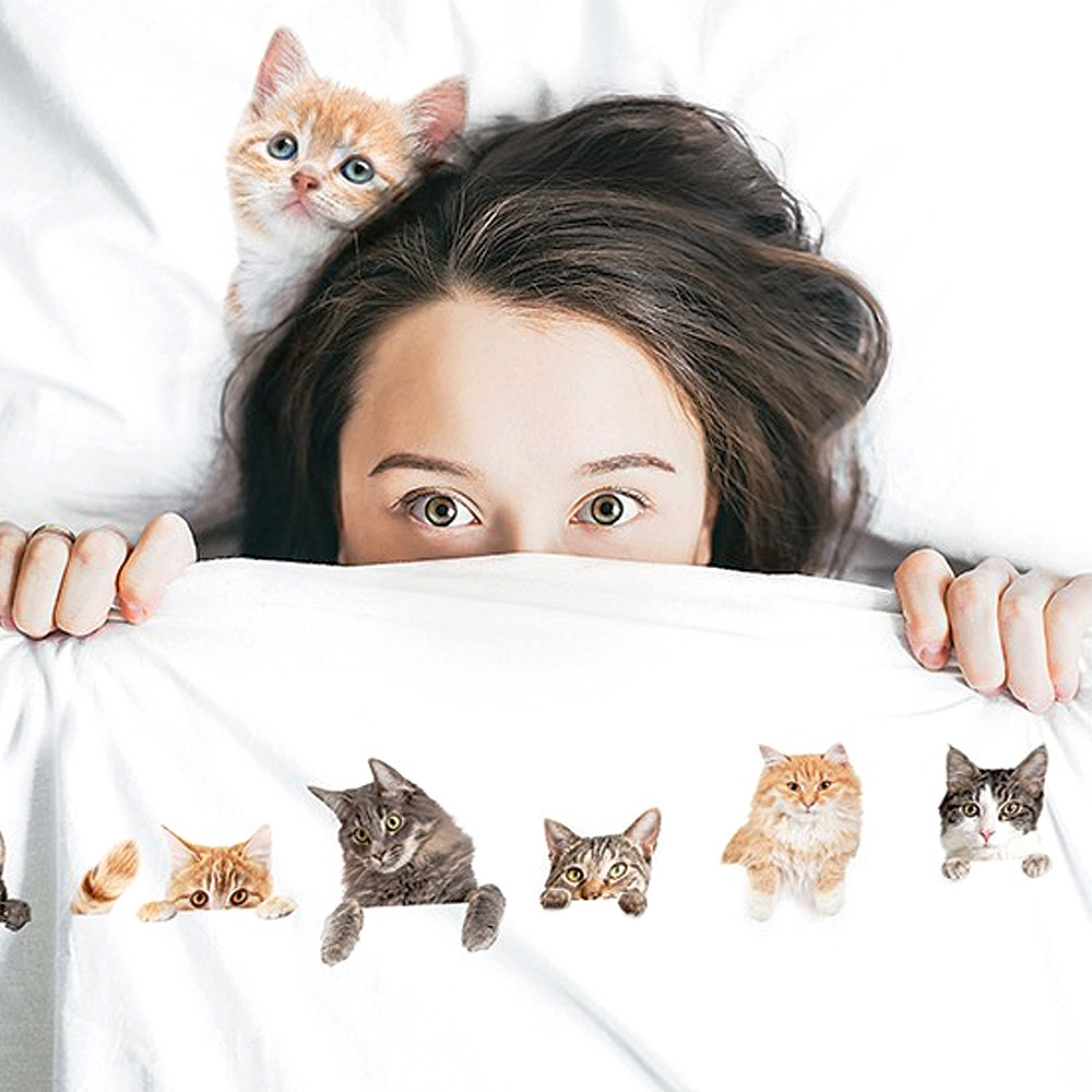 SET SÁBANAS TUYO PRINT CAT LOVERS 1 PLAZA 200 HILOS ALGODÓN BLANCO ESTAMPADO - 2