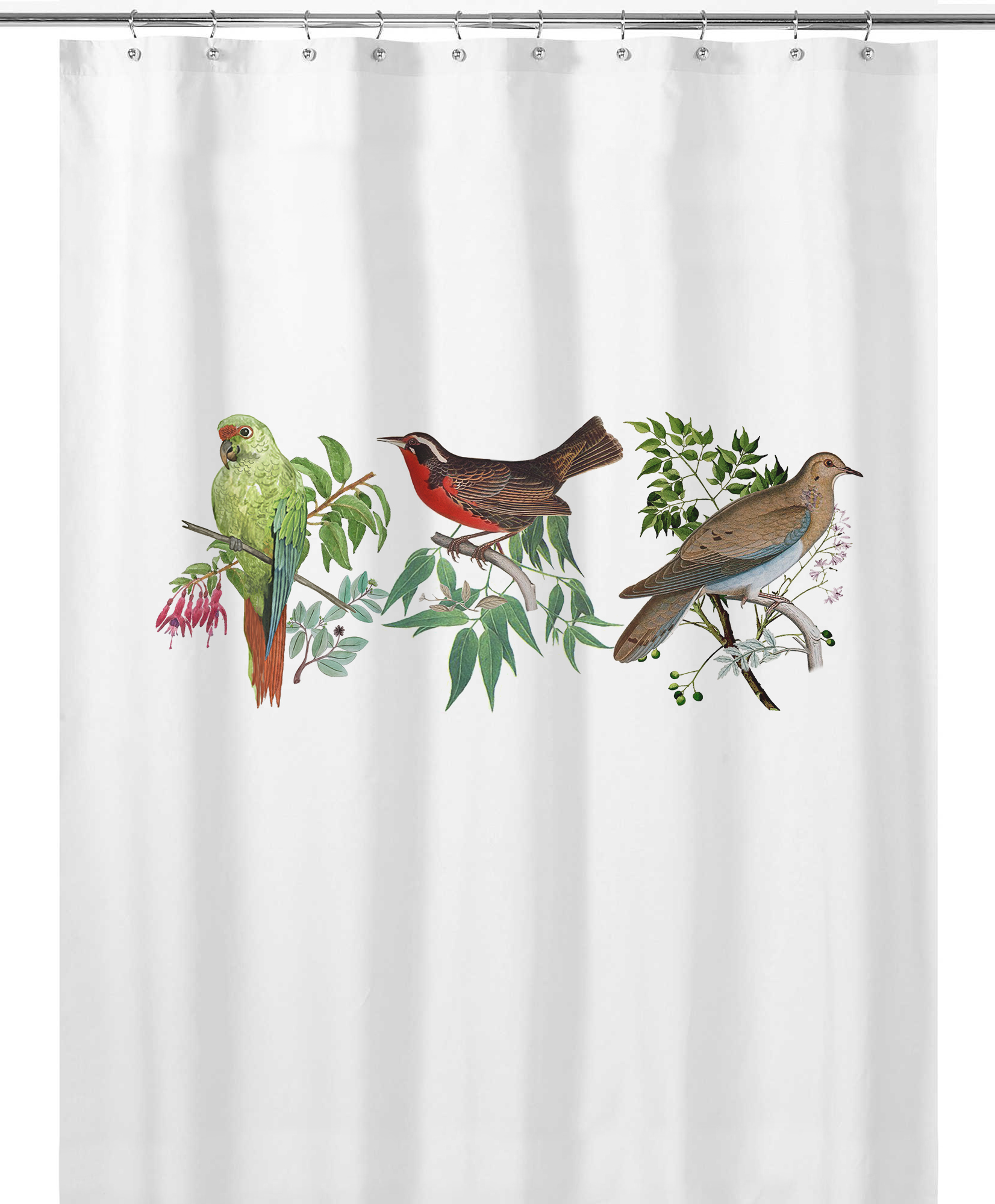 CORTINA DE BAÑO PAJAROS NATIVOS - 1