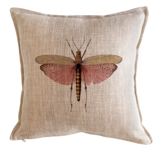 COJÍN TUYO PRINT ANTIQUE FLY 45 X 45 CM ARENA - 1