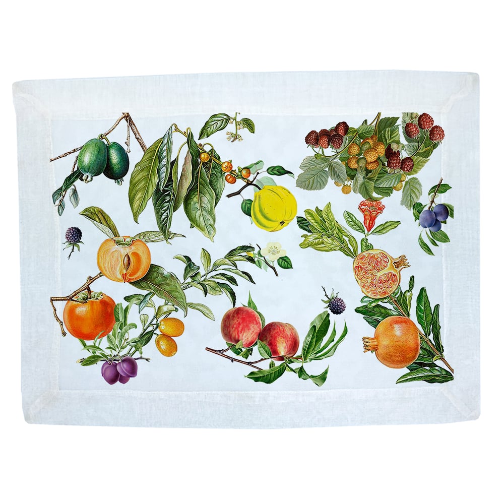 SET 4 INDIVIDUALES TUYO PRINT FRUTAS VELO ORGANZA - 1