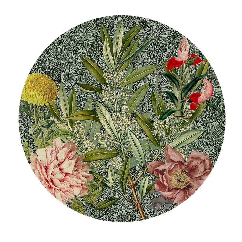 BAJOPLATOS - BOTANICO - 35 cm. - c/b - por Unidad - 1