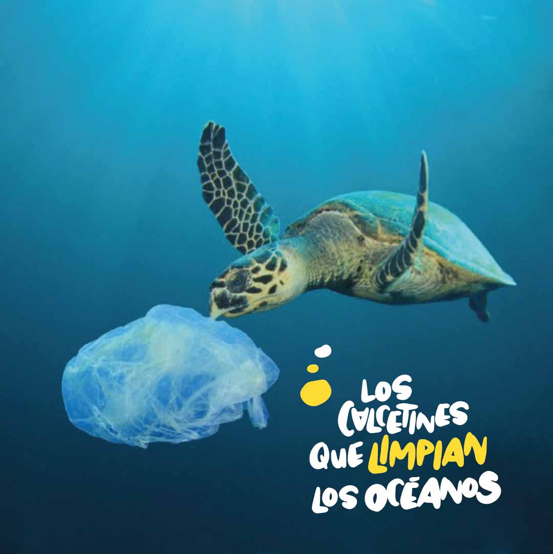 CALCETINES FUNSTEP SOSTENIBLES DIBUJOS PULPOS L 40 43 - 3