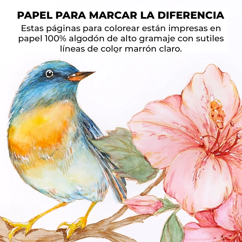 LIBRO ACUARELA COLOREAR 100% ALGODON 15 HOJAS A5 300G FLORAL - 4