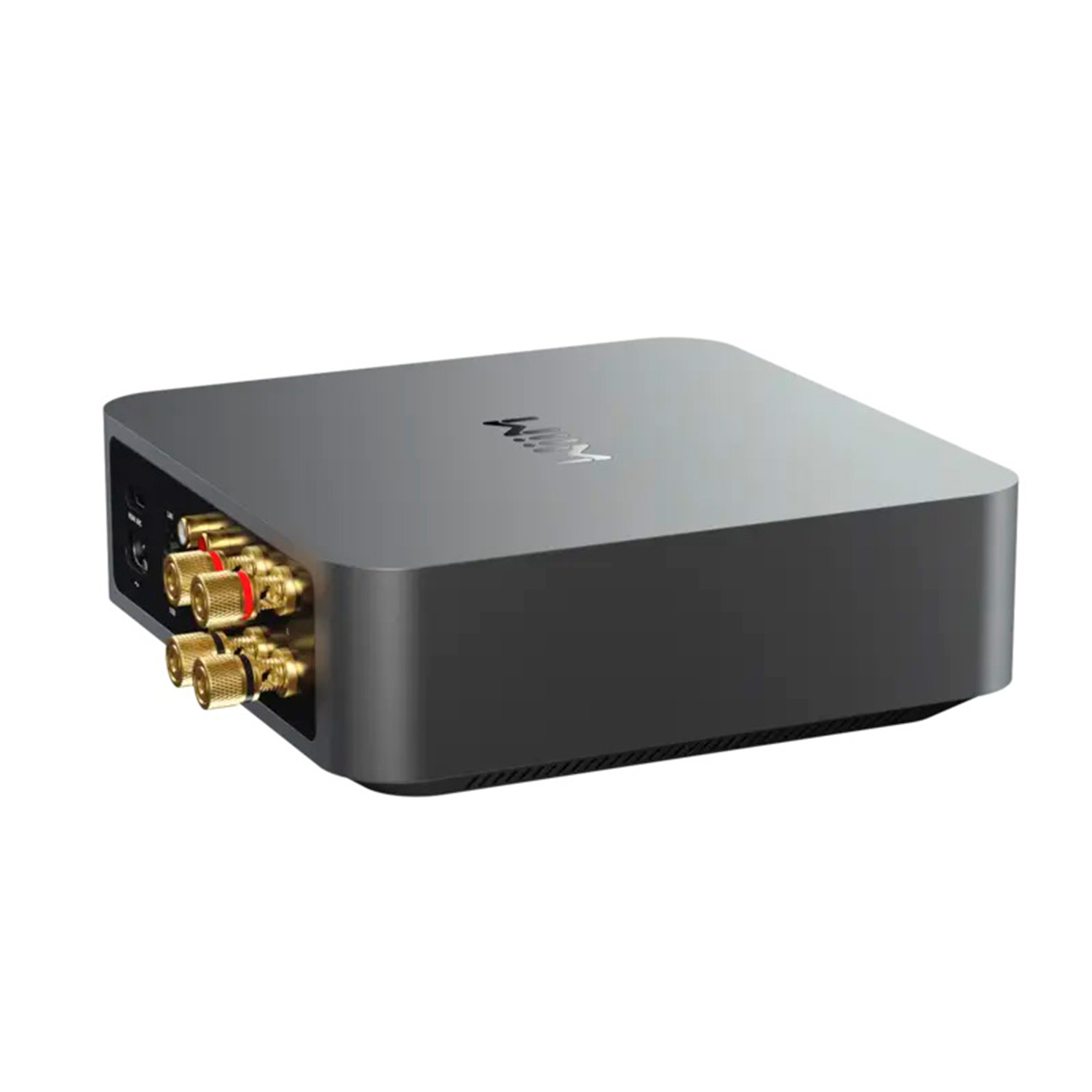 AMPLIFICADOR DE STREAMING WIIM PROAMP - 5