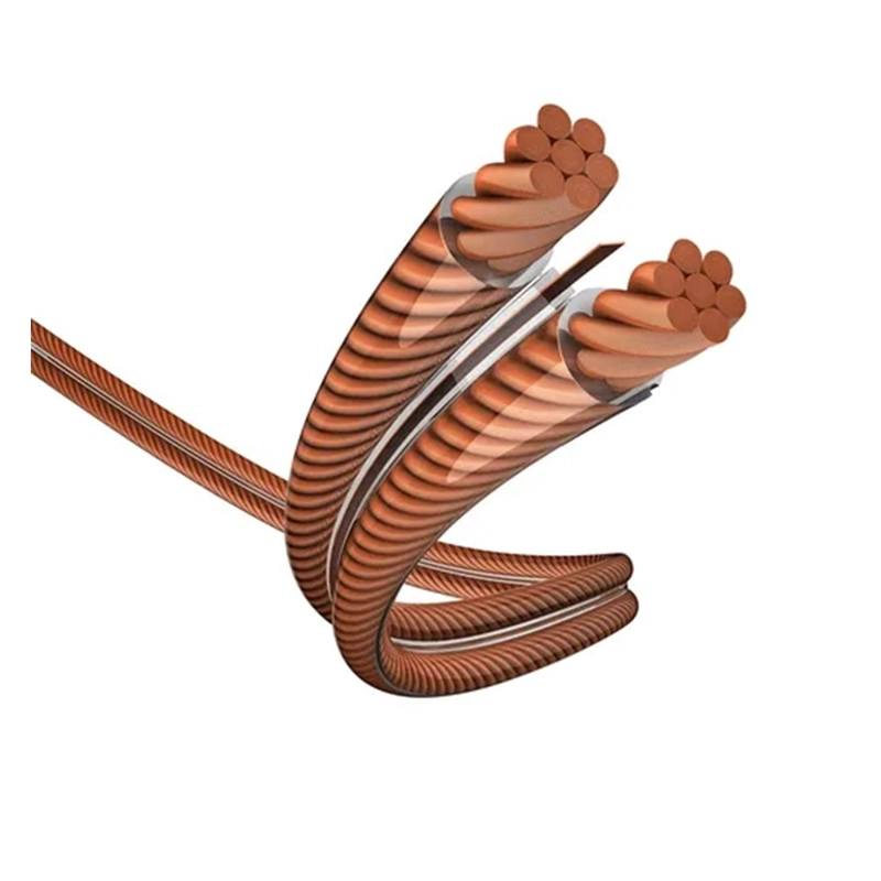 CABLE DE PARLANTE STAR 2X1,5 MM INAKUSTIK ROLLO 20 MT - 2