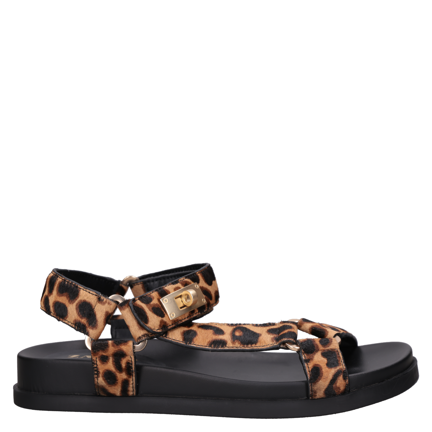 SANDALIA CASUAL MUJER ZAPPA - ZAM0037 - 1