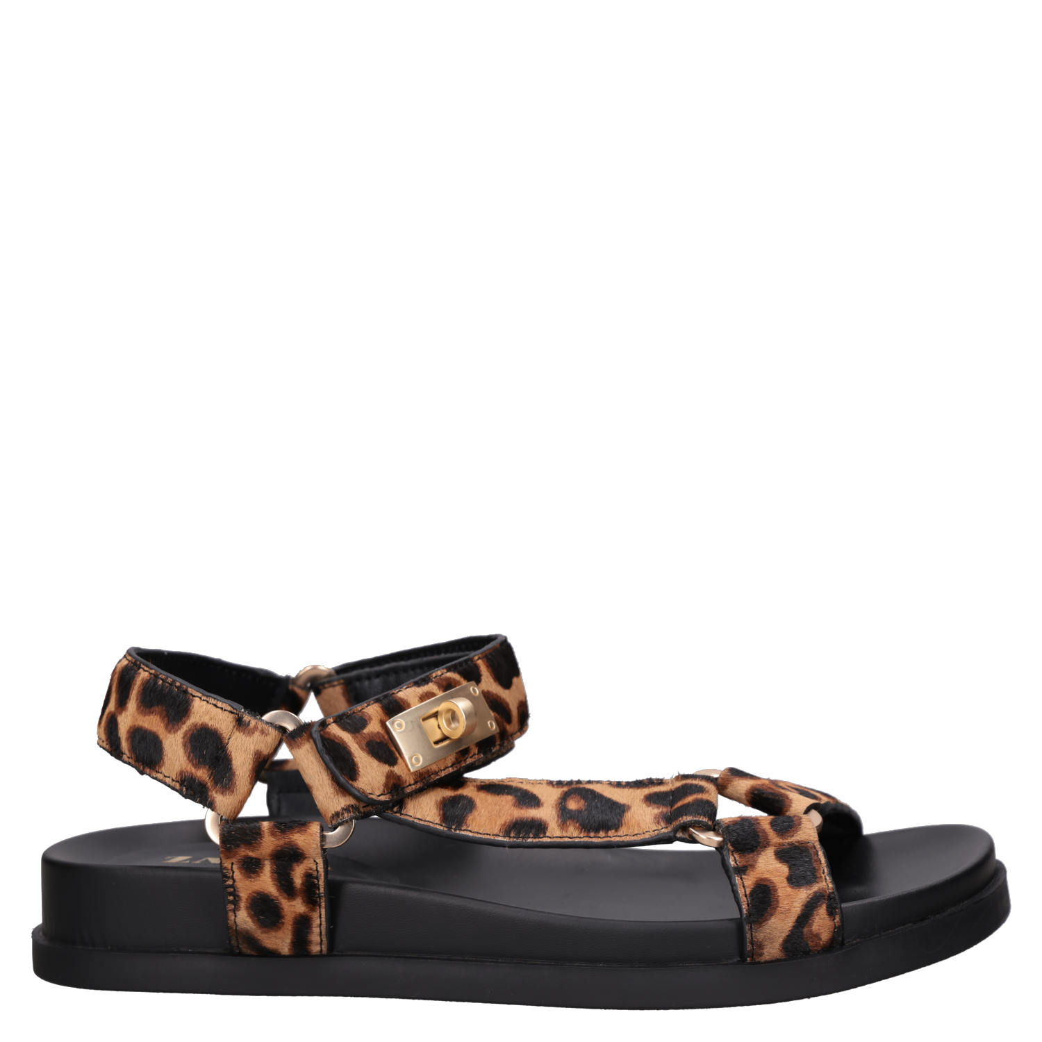 SANDALIA CASUAL MUJER ZAPPA - ZAM0037 - 1
