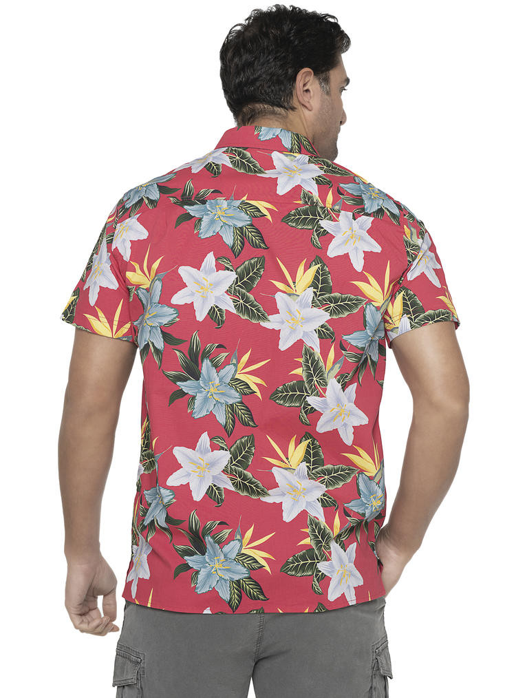 GUAYABERA PALMA CASUAL HOMBRE PANAMA JACK - I961 | FUCSIA - 3