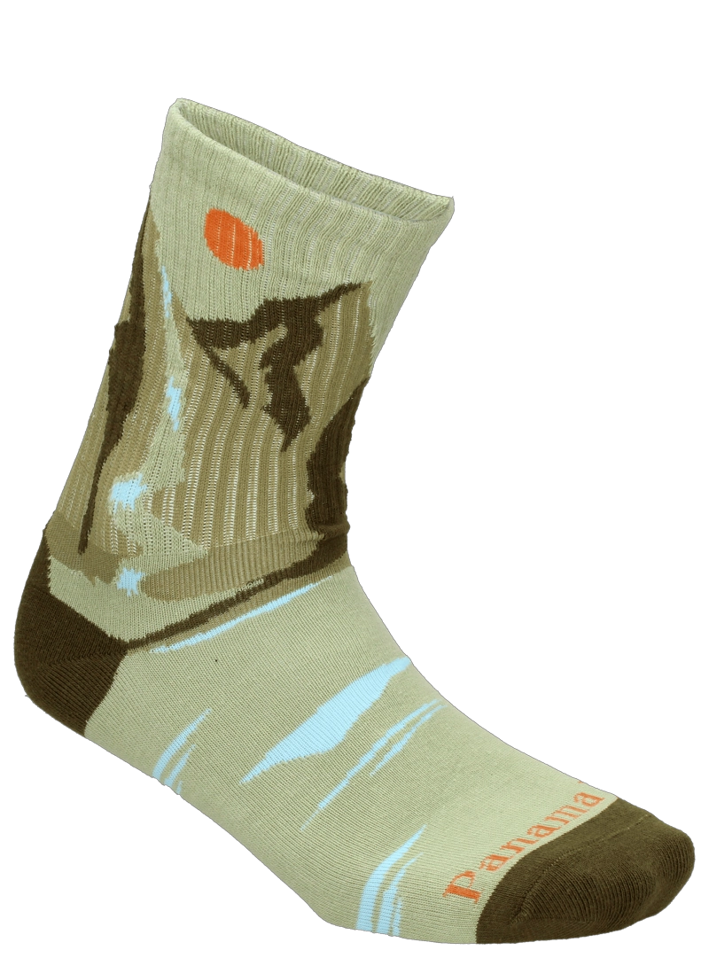 CALCETINES ALGODON CASUAL UNISEX PANAMA JACK - PJUCP05 | CELESTE - 7