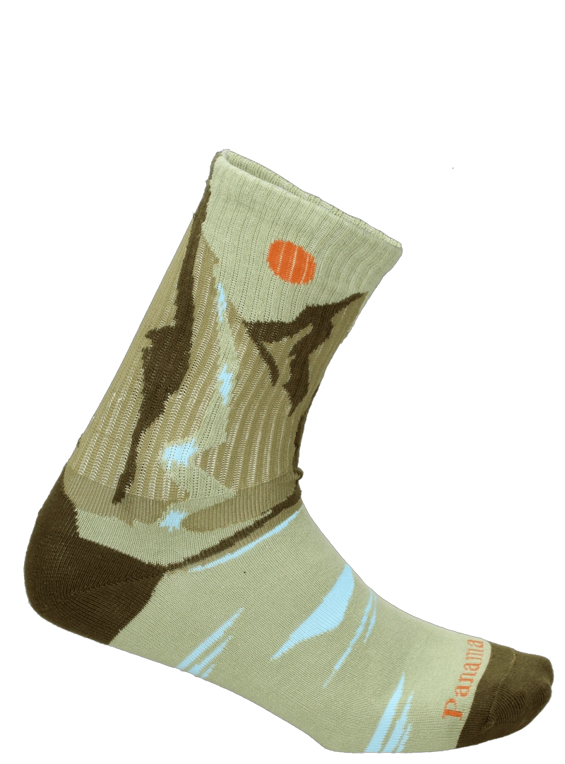 CALCETINES ALGODON CASUAL UNISEX PANAMA JACK - PJUCP05 | VERDE - 3