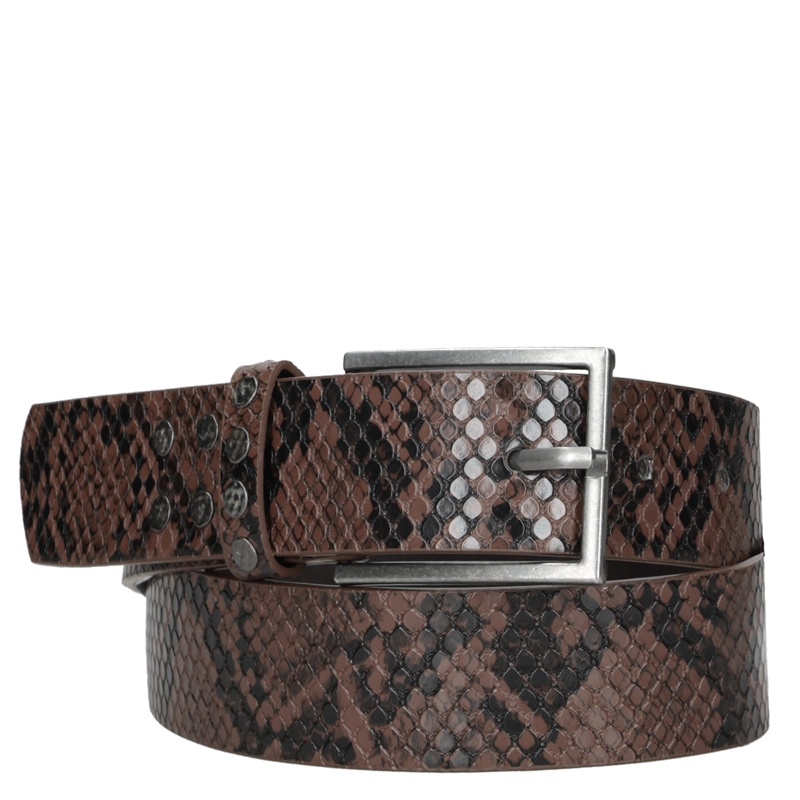 CINTURON MUJER ANIMAL PRINT ZAPPA - ZAM058X | MARRON OSCURO - 2