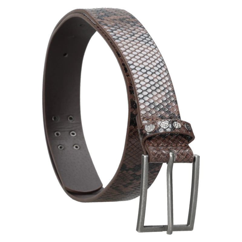 CINTURON MUJER ANIMAL PRINT ZAPPA - ZAM058X | MARRON OSCURO - 4