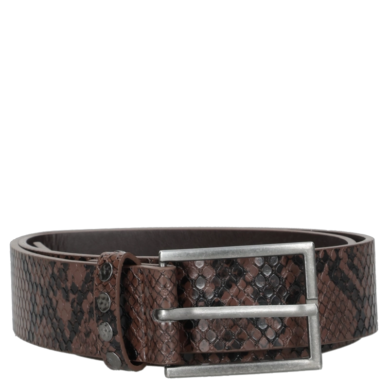 CINTURON MUJER ANIMAL PRINT ZAPPA - ZAM058X | MARRON OSCURO - 5