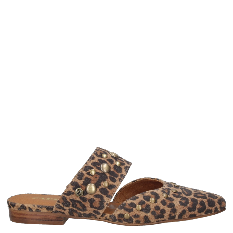 ZAPATO CASUAL MUJER ZAPPA - ZAMZ016 | MARRON - 1