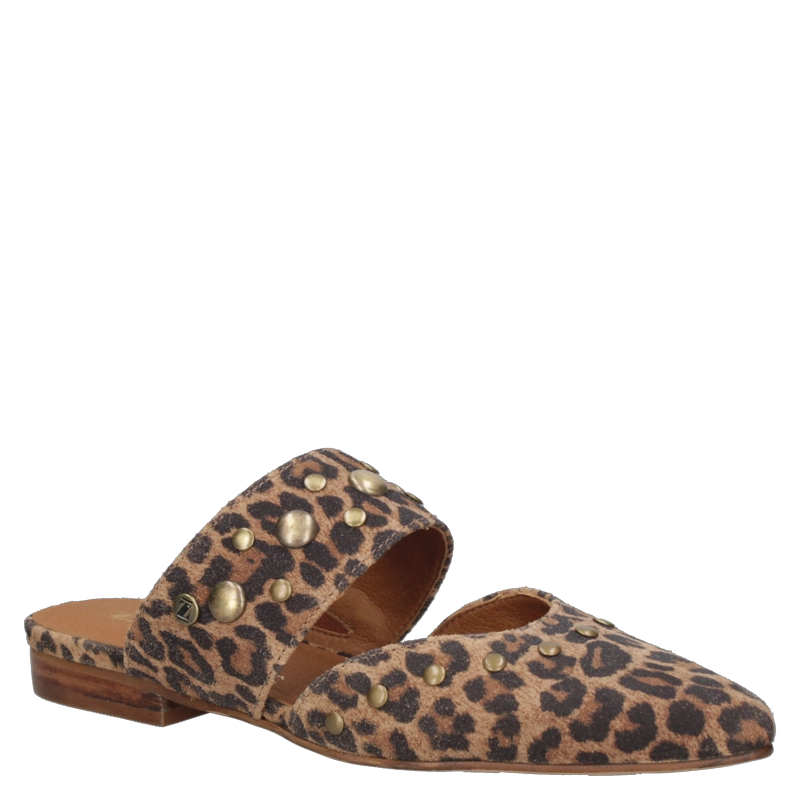 ZAPATO CASUAL MUJER ZAPPA - ZAMZ016 | MARRON - 2