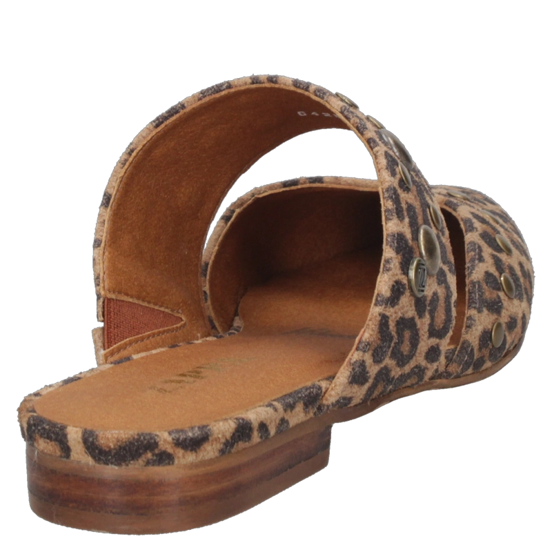 ZAPATO CASUAL MUJER ZAPPA - ZAMZ016 | MARRON - 3