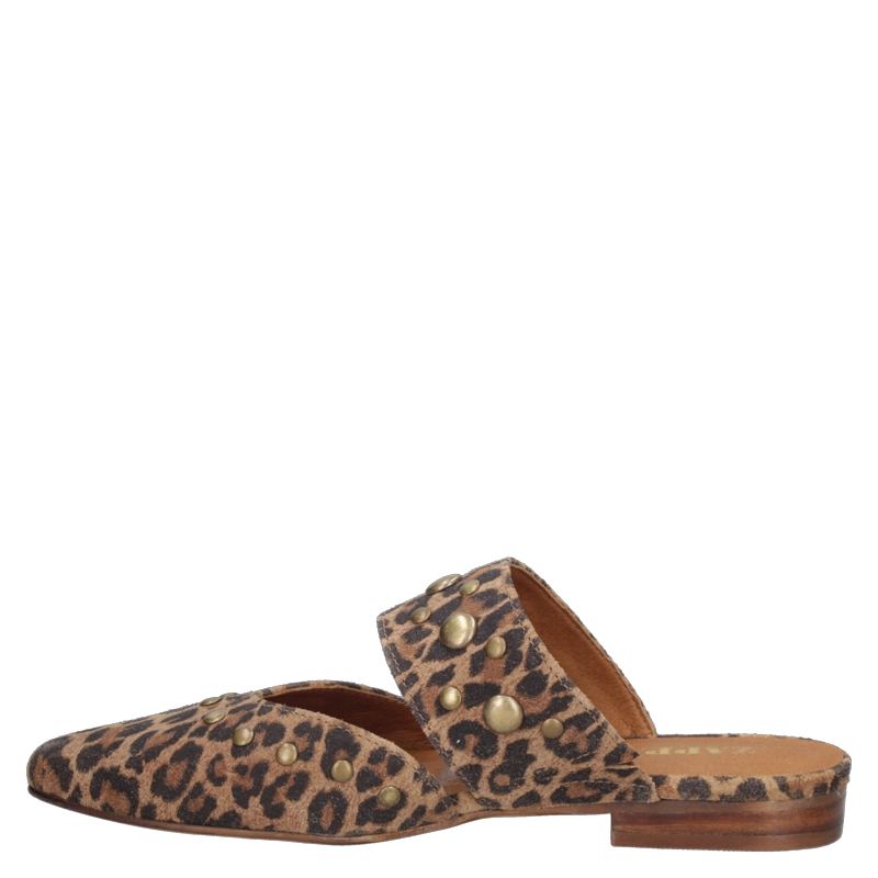 ZAPATO CASUAL MUJER ZAPPA - ZAMZ016 | MARRON - 4