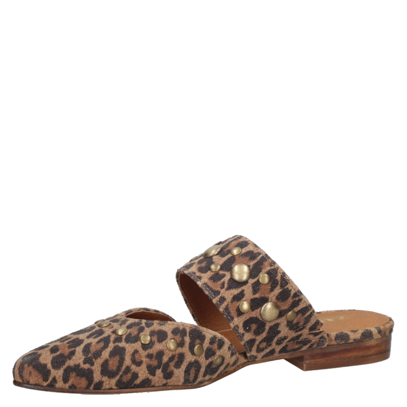ZAPATO CASUAL MUJER ZAPPA - ZAMZ016 | MARRON - 5
