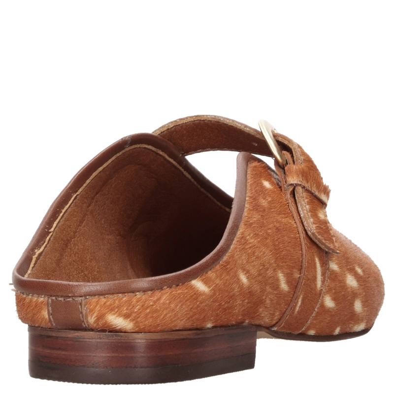 BABUCHA CASUAL MUJER ZAPPA - ZAM0218 - 3