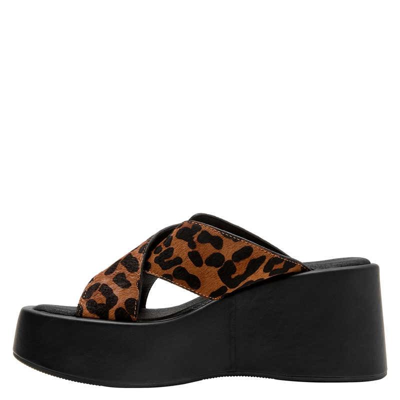 SANDALIA CASUAL MUJER ZAPPA - ZAM0234 | MARRON - 4