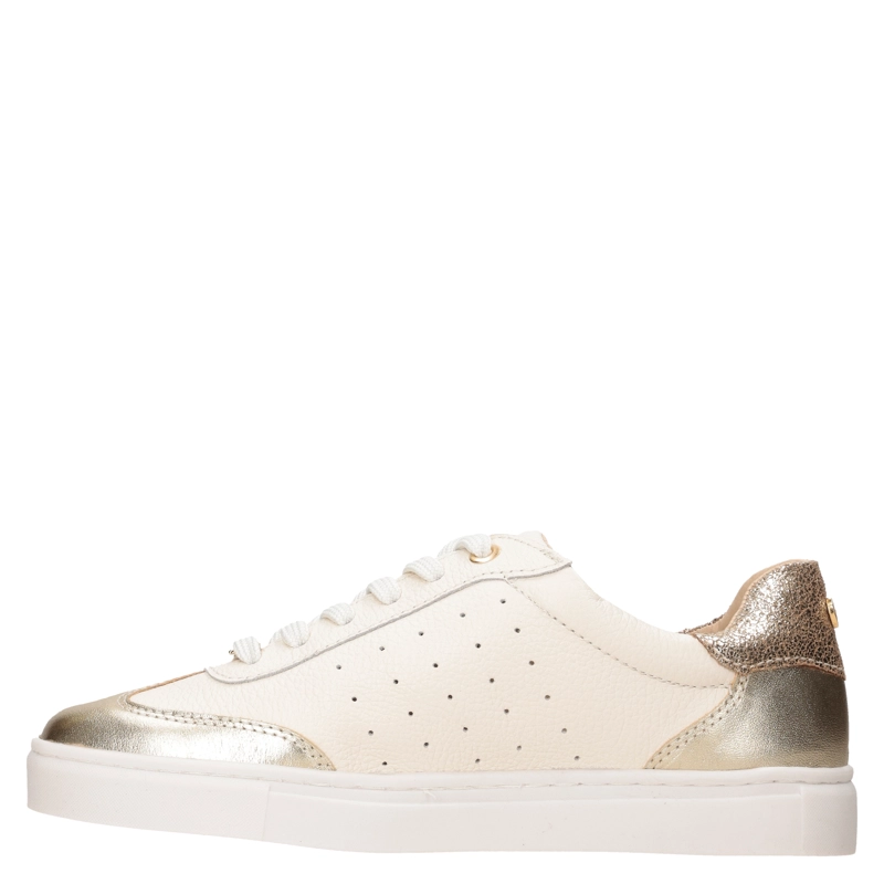 ZAPATILLA CASUAL MUJER MINGO - MIM0264 - 4