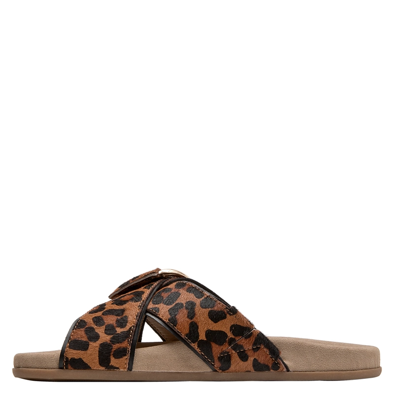 SANDALIA CASUAL MUJER POLLINI - POM0369 | MARRON - 3