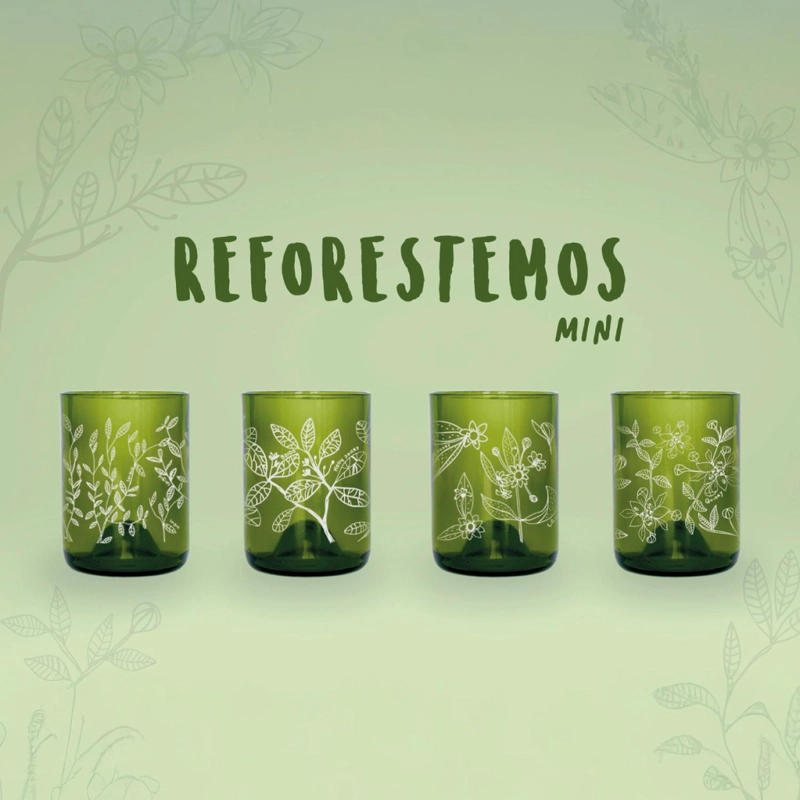 MINI REFORESTEMOS - JUEGO DE 4 VASOS - 200 ML - 2