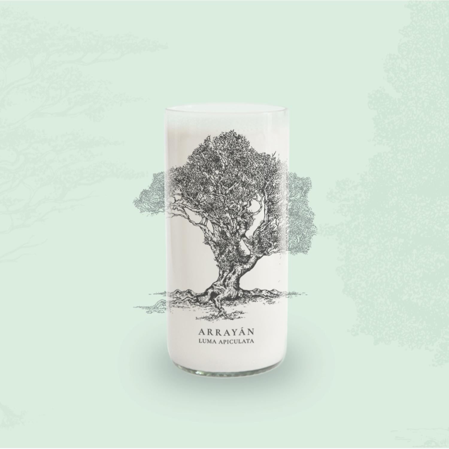 ARBOLES DE CHILE - JUEGO DE 6 VASOS - 500 ML - 3