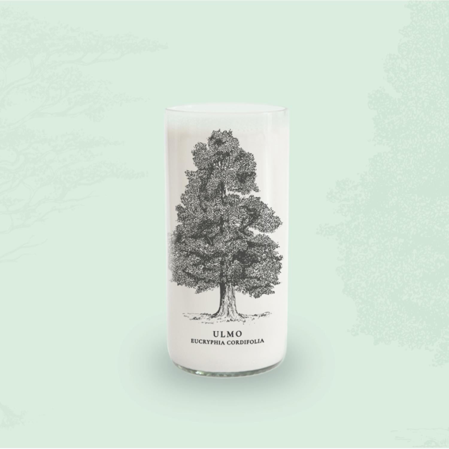 ARBOLES DE CHILE - JUEGO DE 6 VASOS - 500 ML - 4