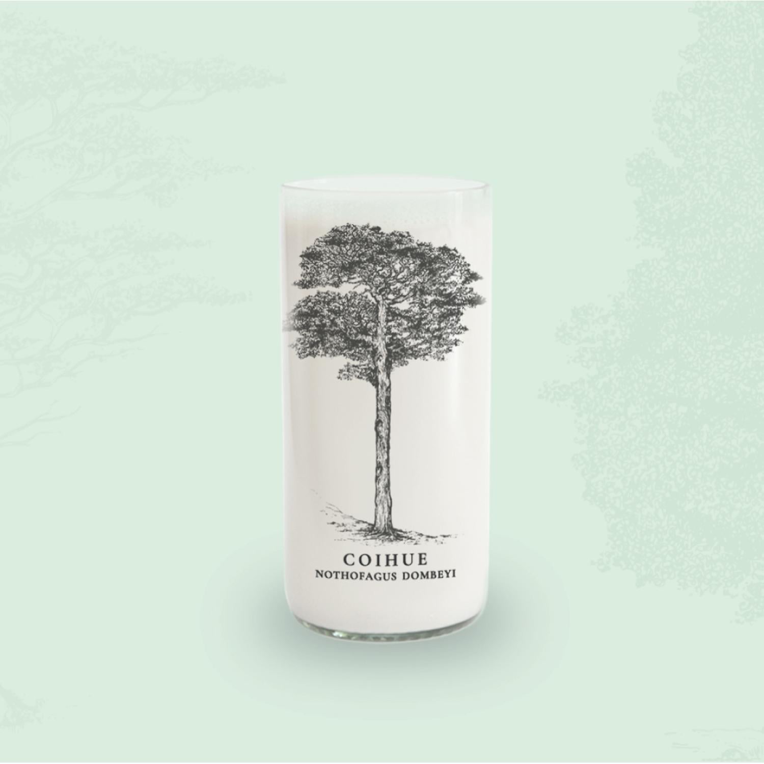ARBOLES DE CHILE - JUEGO DE 6 VASOS - 500 ML - 5