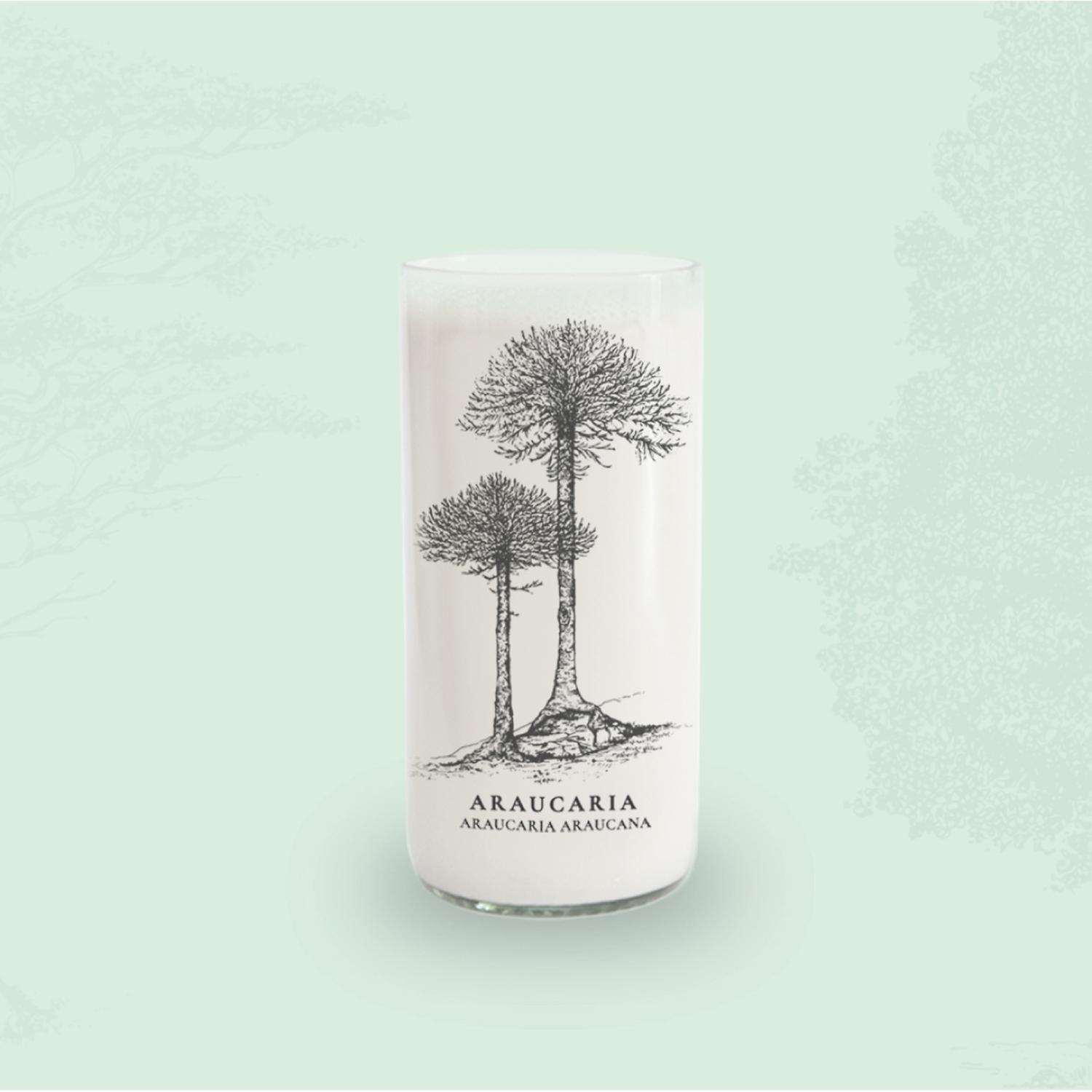 ARBOLES DE CHILE - JUEGO DE 6 VASOS - 500 ML - 6
