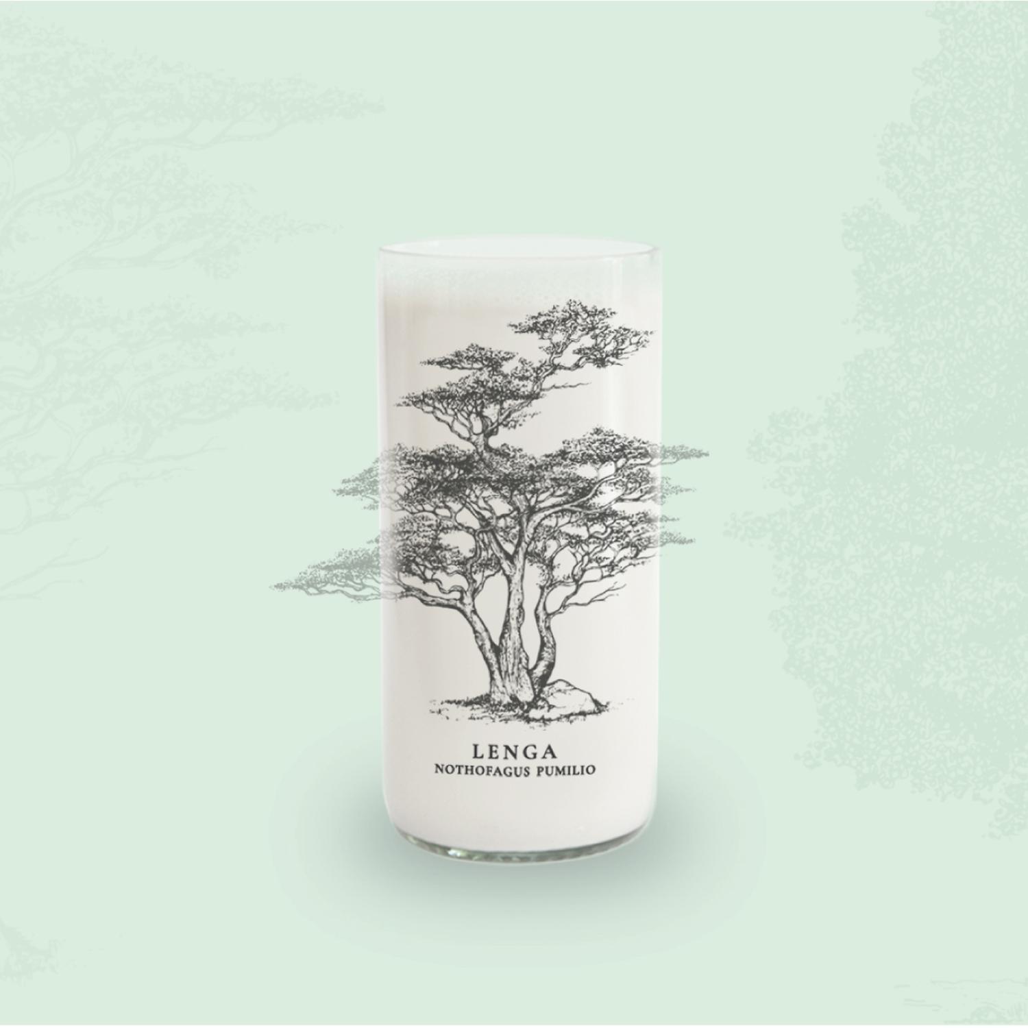 ARBOLES DE CHILE - JUEGO DE 6 VASOS - 500 ML - 7