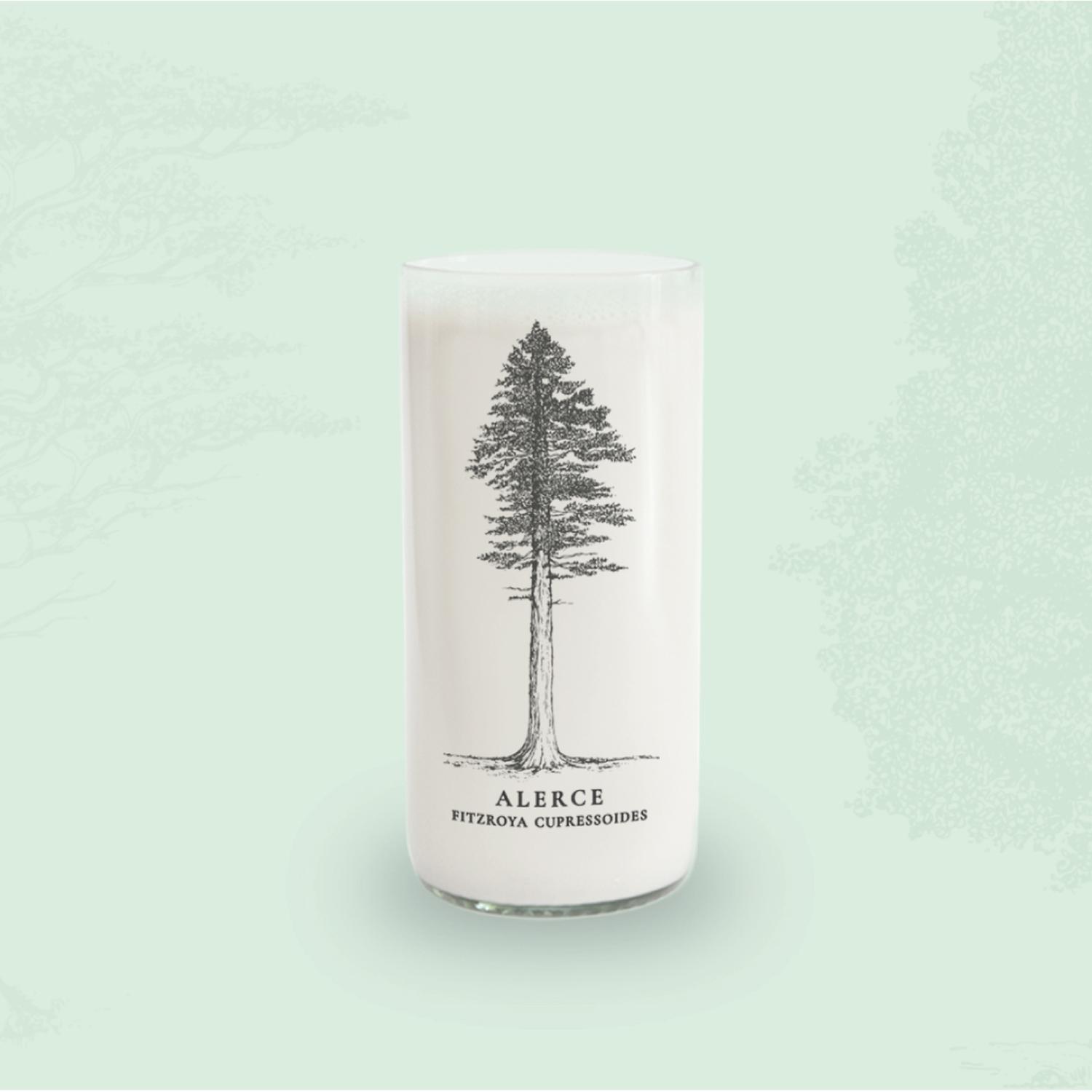 ARBOLES DE CHILE - JUEGO DE 6 VASOS - 500 ML - 8
