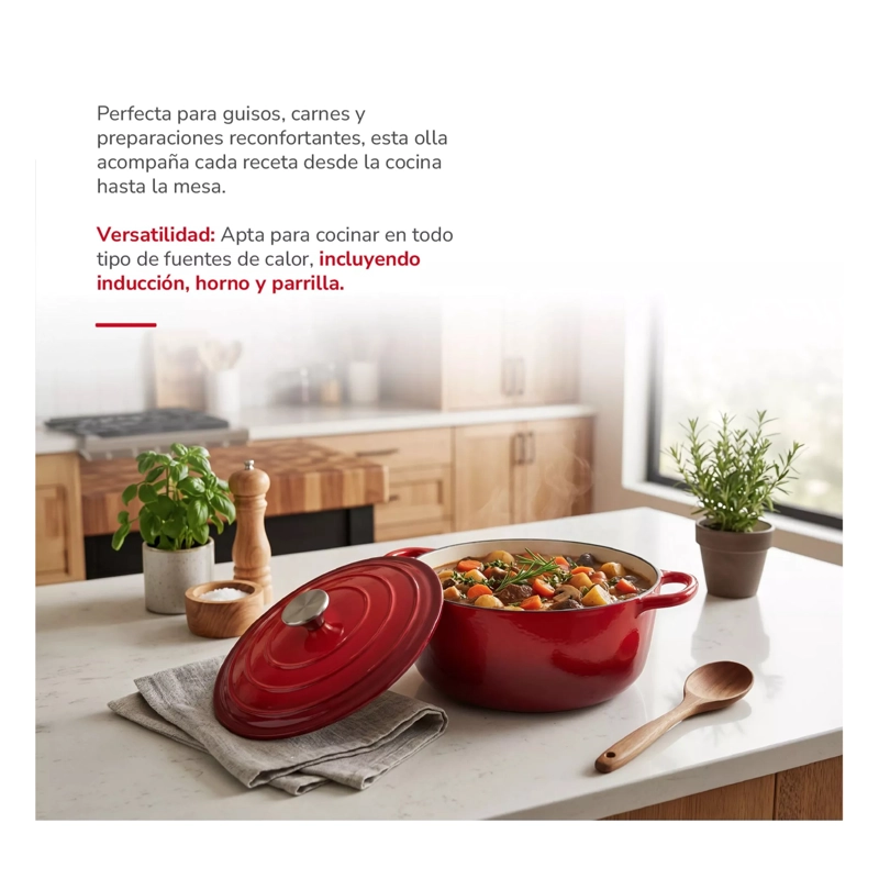 OLLA DE HIERRO FUNDIDO ANTIADHERENTE 24CM CON TAPA - 6