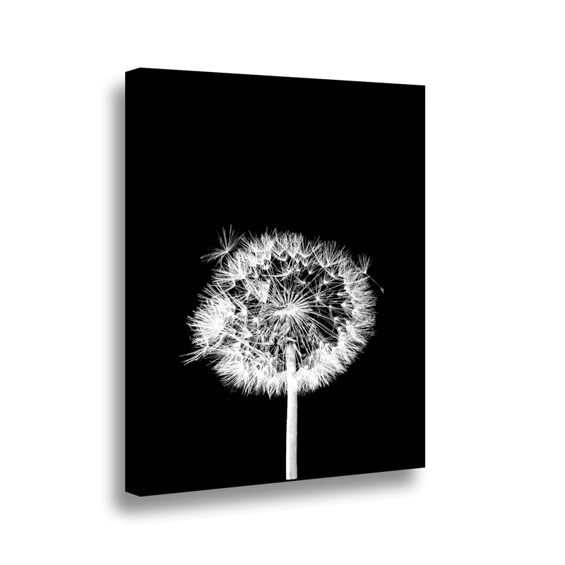 CANVAS FLOR DE LEON N