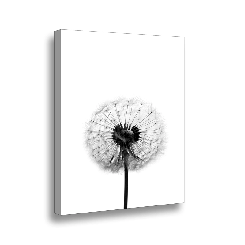CANVAS FLOR DE LEON B
