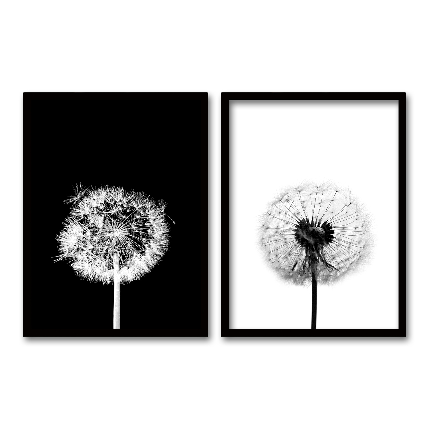 CUADRO DUO NEGRO 50X35CMS DANDELION - 1