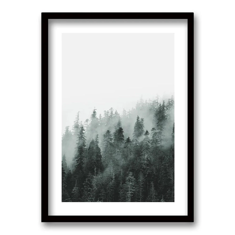 CUADRO BOSQUE BN 40X30 CM - 1