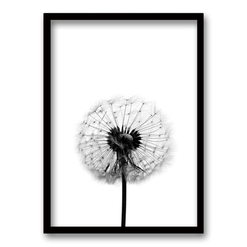 CUADRO FLOR DE LEON B TAMAÑO 70X50 CM 70X50 CM - 1