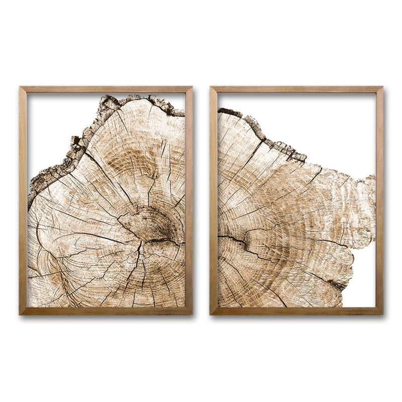 CUADRO DUO ESENCIA ARBÓREA TAMAÑO 40X30 CMS LISA 2X2 CM - 1