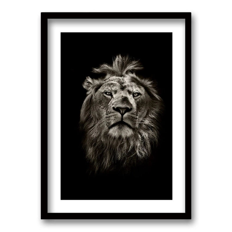 CUADRO LEÓN B/N TAMAÑO 50X35 CM 50X35 CM - 1