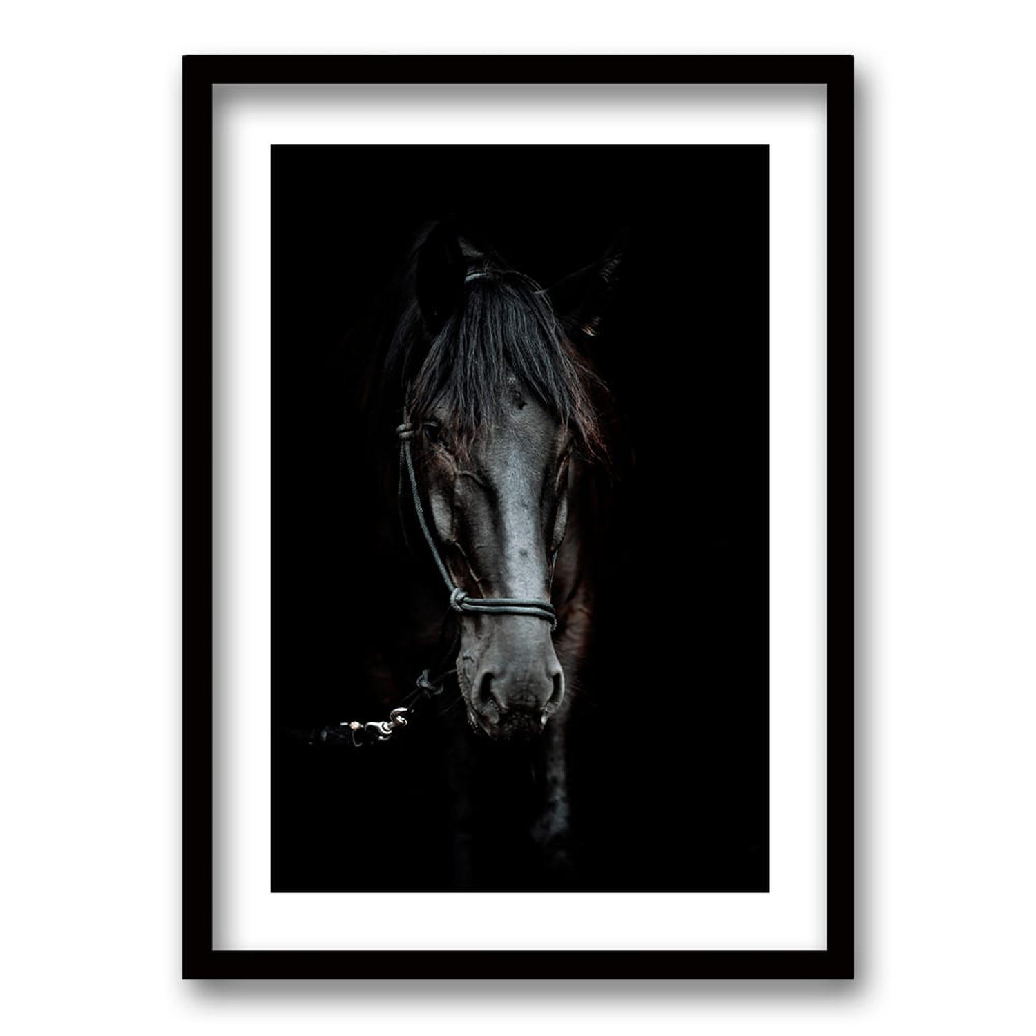 CUADRO CABALLO B/N TAMAÑO 50X35 CM 50X35 CM - 1