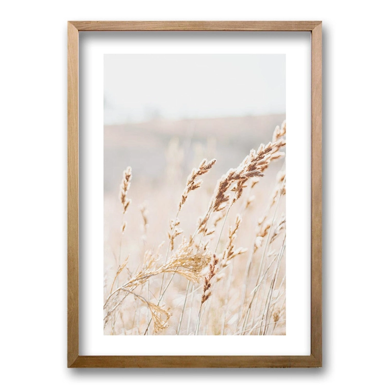 CUADRO CHAMP 40X30 CM - 2